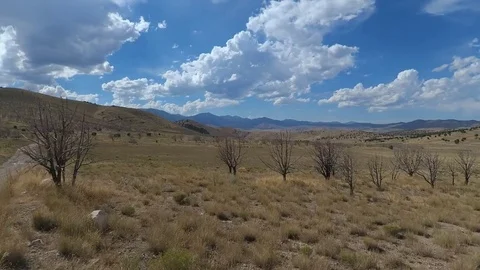 Aerial Zoom Through Dead Trees in High Desert Mountains on a Cloudy Day Stock Footage 78887706