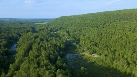 Aerial/Drone Arc/Orbit over Mountain Forest with Road and Lake Stock Footage 223578115