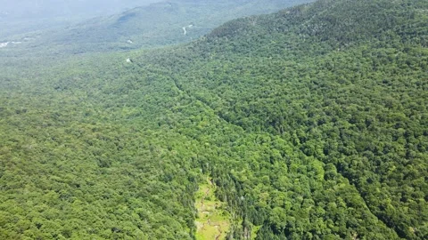 Aerial/Drone Backwards Fly Over Forest Mountain Valley from Meadow in Summer Stock Footage 223578020