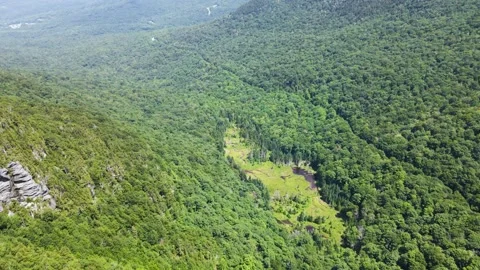 Aerial/Drone Fly Over Forest Mountain Valley toward Meadow in Summer Stock Footage 223578010