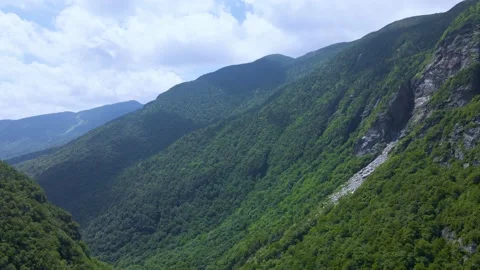 Aerial/Drone Fly Through Forest Mountain Valley on Sunny Day Stock Footage 223578033