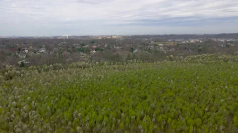Aerial/Drone Flyover of Field of Blooming Trees in Suburban Kentucky Stock Footage