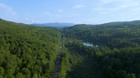 Aerial/Drone Flyover of Forest Road with Trees, Lake on Summer Day Stock Footage 223578047