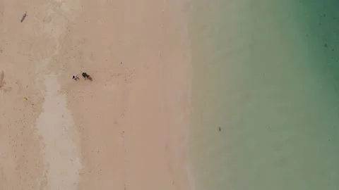 Aerial/Drone shot of beach in Philippines Stock Footage 203969721