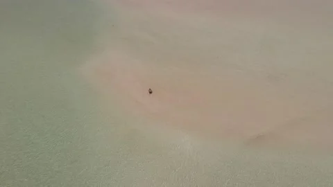 Aerial/Drone shot of beach in Philippines Stock Footage 203969758