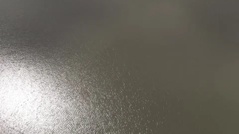 Aerial/Drone Shot in Forest by River Stock Footage 274303502