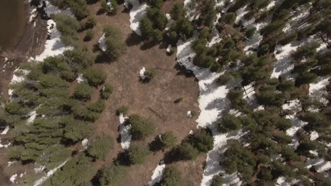 Aerial/Drone Shot in Forest by River Stock Footage 274303997