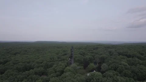 Aerial/Drone Shot of Large Forest Cloudy Day Stock Footage 274323010