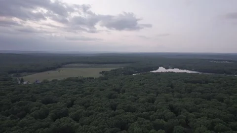 Aerial/Drone Shot of Large Forest Cloudy Day Stock Footage 274324314