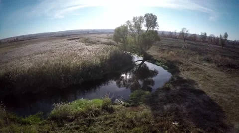 Aerial:flight over like 스톡 동영상 56798038