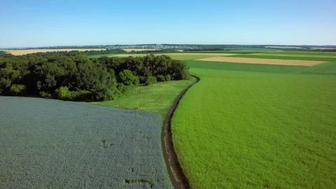 AERIAL:flying over the field Video stock 78634437