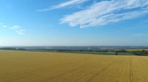 AERIAL:flying over the wheat fields Video stock 54112139