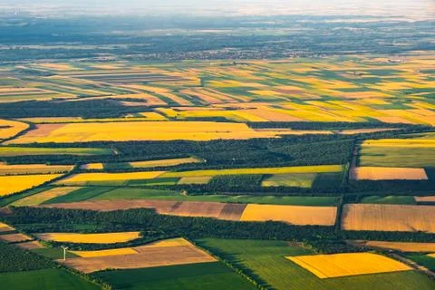 Aeriall view of patchwork of  yellow and green fields in China 스톡 사진