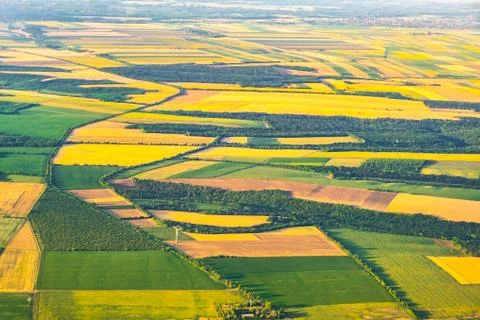 Aeriall view of scenic countryside - patchwork of agricultural yellow and gre 스톡 사진