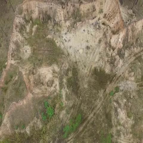 Aerials. Big beautiful pine forest with a bird's eye view Stock Footage 69435611