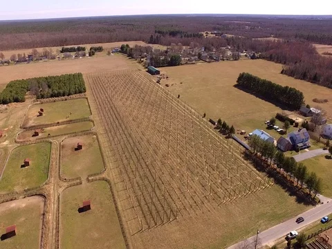 Aerials over Farm Stock Footage 81797982