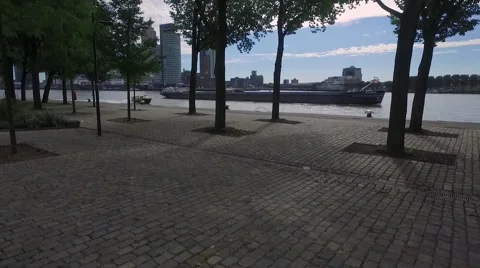 Aerials Rotterdam take off through trees over river towards cruise ship Stock Footage 57216336