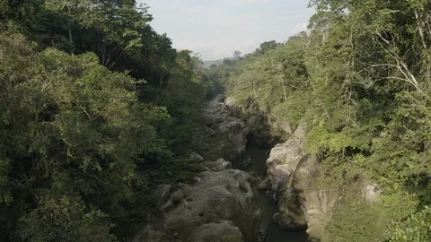 Aerials sails through the trees above the Cañon del Mandiyaco and rises up 스톡 동영상 104838209