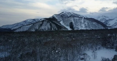 Aerials of Snow Forest Video stock 90499192