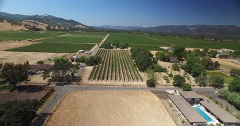 Aerials of Vineyard in Sonoma Stock-Footage 66415685