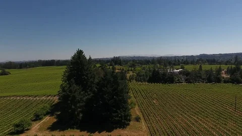 Aeriel View above Winery Stock Footage 76000533