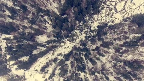 Aeriel view of winter forest Stock Photos