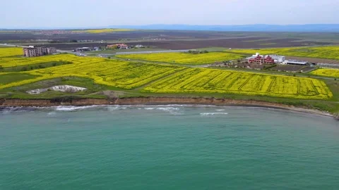 Aeril view of a yellow rapeseed feelds growing next to the blue turquoise sea Vidéo 153606441