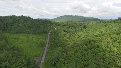 Aeriol View of Road in the Dense Forest Path in the Mountain Stock Footage 208937702