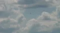 Aermacchi 326 MB HD Footage