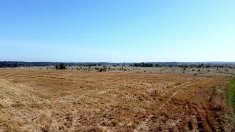 Aero birdview field landscape drone fly Stock Footage 143530438