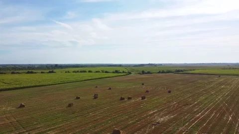 Aero drone flight over wheat field with rick straw bales Stock Footage 143525383