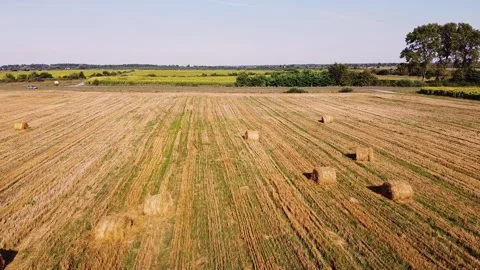 Aero drone flight over wheat field with rick straw bales Stock Footage 143530082