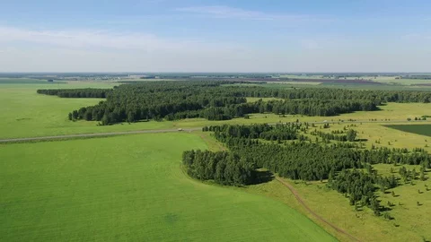 Aero flight over fields and forest, visible road with cars Stock Footage 128282421