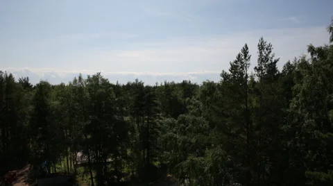 Aero Flight  Over Forest Stock-Footage 64348533