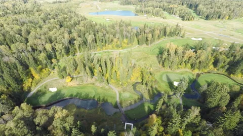 Aero Flight  Over Forest with a river Stock Footage 64008249