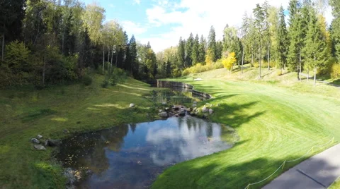 Aero Flight  Over Forest with a river Stock Footage 64008715