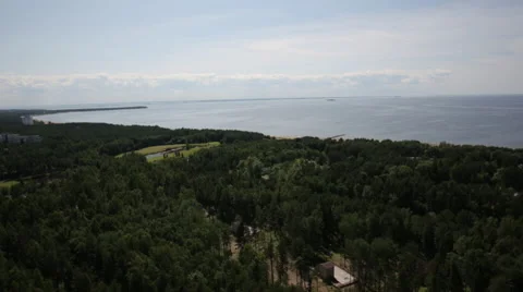 Aero Flight  Over Forest with a river Stock-Footage 64348334