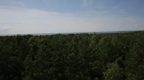 Aero Flight  Over Forest with a river Stock Footage 64348527