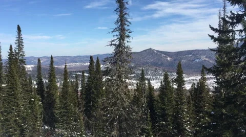Aero Flight Over Rice fields, Ubud, Bali Stock Footage 64334509