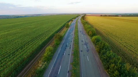 Aero Flight over the road between fields in sunset Stock Footage 53985846