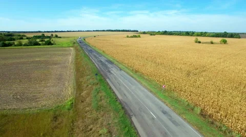 Aero Flight over the road between fields Stock Footage 55014071
