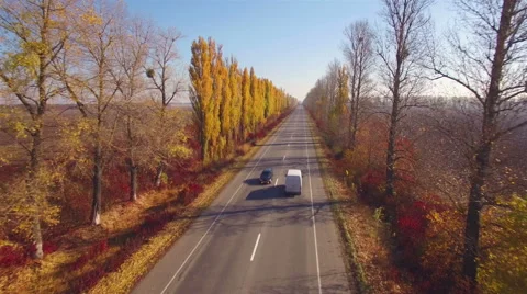 Aero Flight over the road between fields. Autumn colors. Stock Footage 56676991