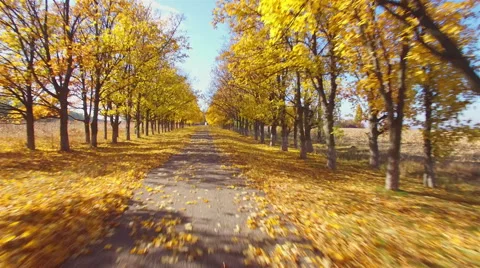 Aero Flight over the road between fields. Autumn colors. Stock Footage 56681586