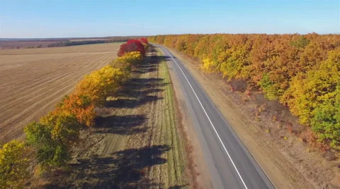 Aero Flight over the road between fields. Autumn colors. Stock Footage 56685595