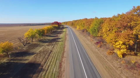 Aero Flight over the road between fields. Autumn colors. Stock Footage 56687404