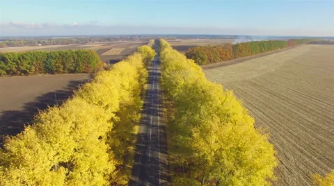 Aero Flight over the road between fields. Autumn colors. Stock Footage 56688890