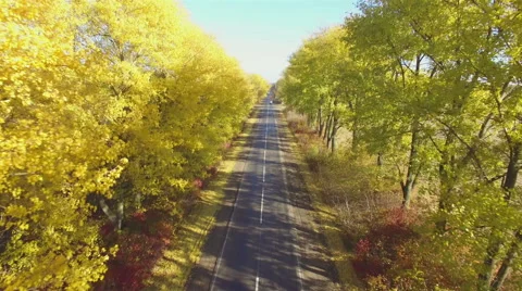 Aero Flight over the road between fields. Autumn colors. Stock Footage 56689906