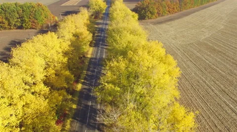 Aero Flight over the road between fields. Autumn colors. Stock Footage 56690043