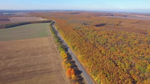 Aero Flight over the road between fields. Autumn colors. Stock Footage 56690249