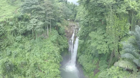 Aero Flight  Over waterfall in Bali Stock Footage 64008293
